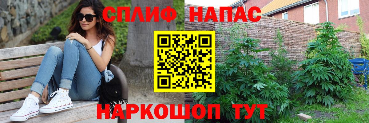 Бошки Шишки Amnesia  Марихуана ГИДРОПОН  Тихорецк  Канабис OG Kush  Вход с VPN  Конопля SATIVA & INDICA 